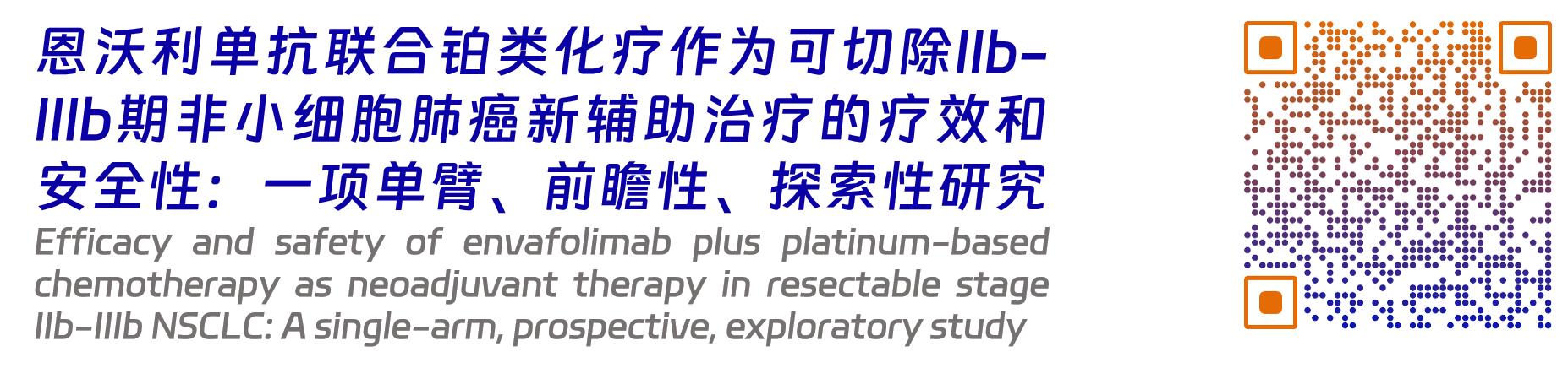 恩維達4.png