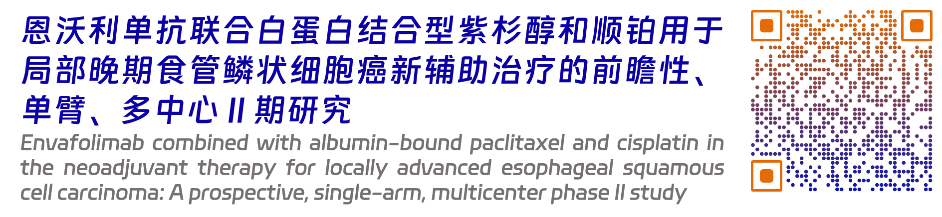 恩維達8.png